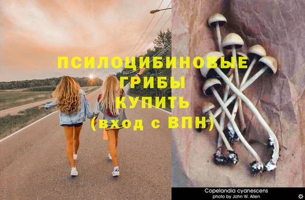 apvp Кулебаки