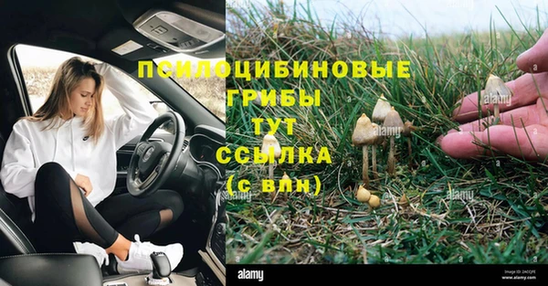 МДМА Куйбышев