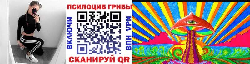 Псилоцибиновые грибы мицелий  omg маркетплейс  Павловск 